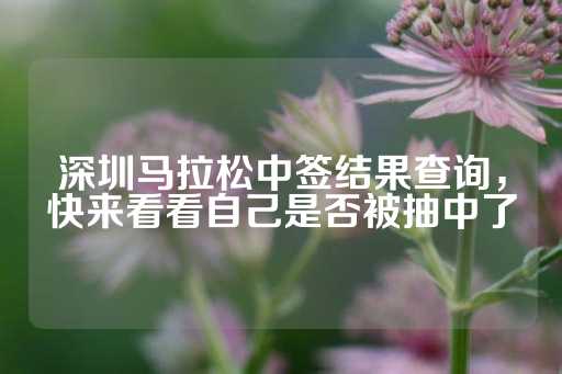 深圳马拉松中签结果查询，快来看看自己是否被抽中了