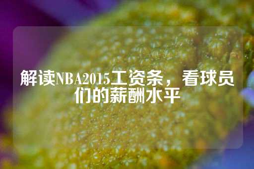 解读NBA2015工资条，看球员们的薪酬水平-第1张图片-皇冠信用盘出租