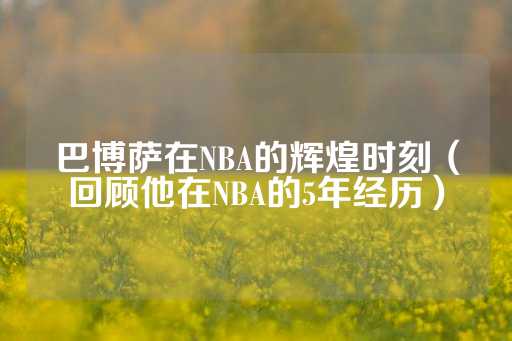 巴博萨在NBA的辉煌时刻（回顾他在NBA的5年经历）-第1张图片-皇冠信用盘出租