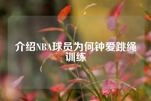 介绍NBA球员为何钟爱跳绳训练-第1张图片-皇冠信用盘出租