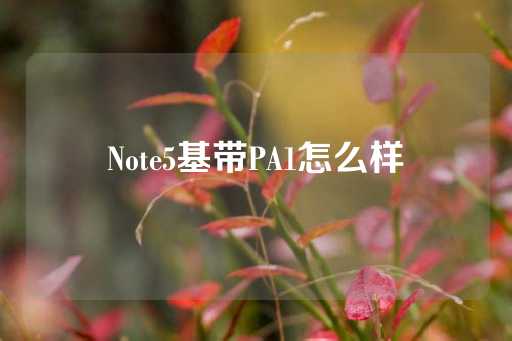 Note5基带PA1怎么样