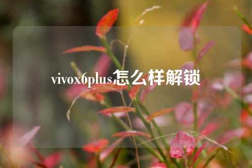 vivox6plus怎么样解锁